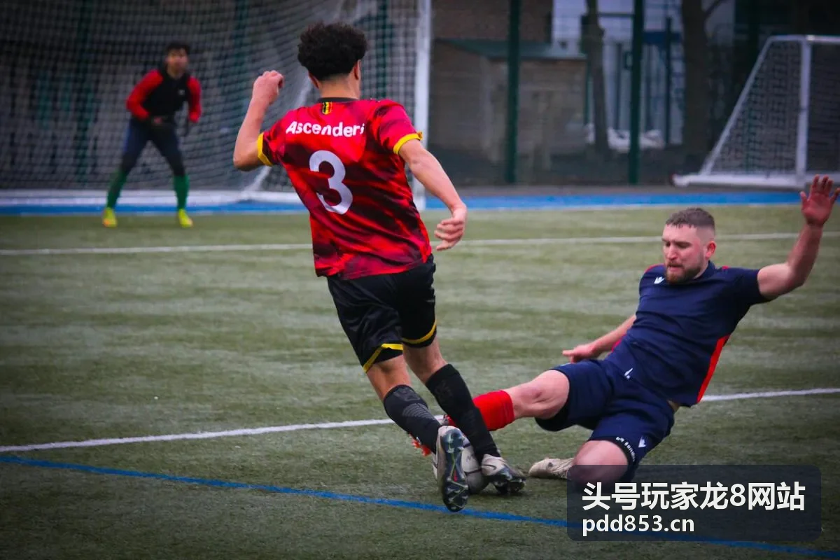 头号玩家龙8网站客服支持